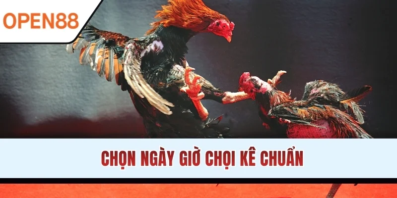 Chọn ngày giờ chọi kê chuẩn