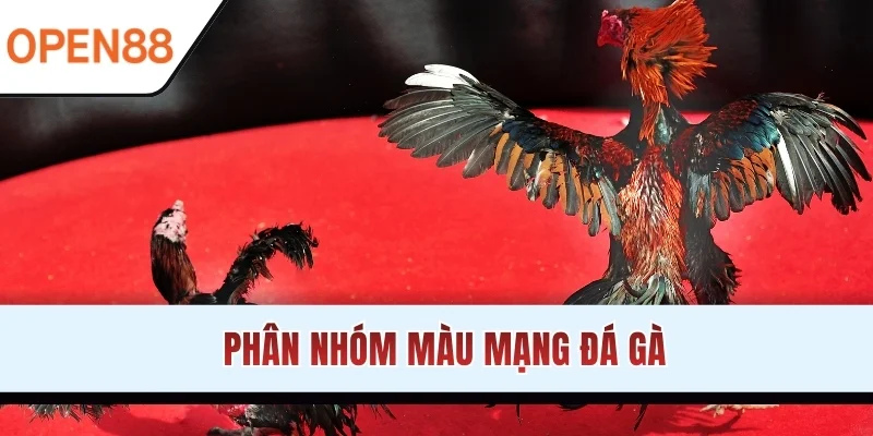 Phân nhóm màu mạng đá gà