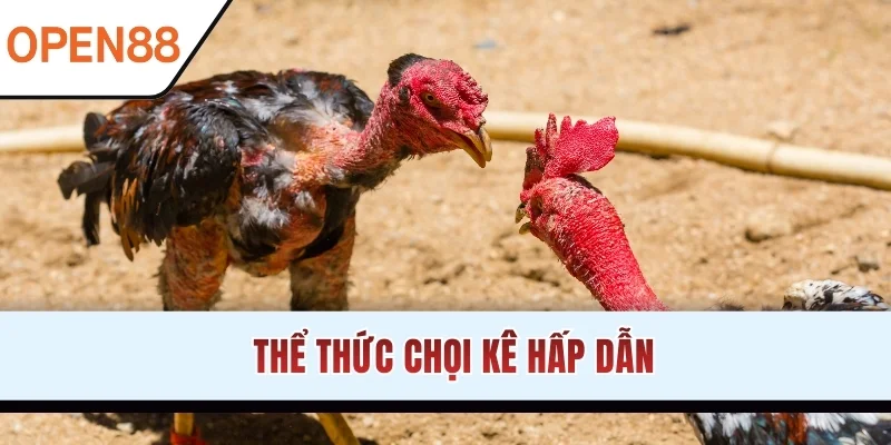 Thể thức chọi kê hấp dẫn